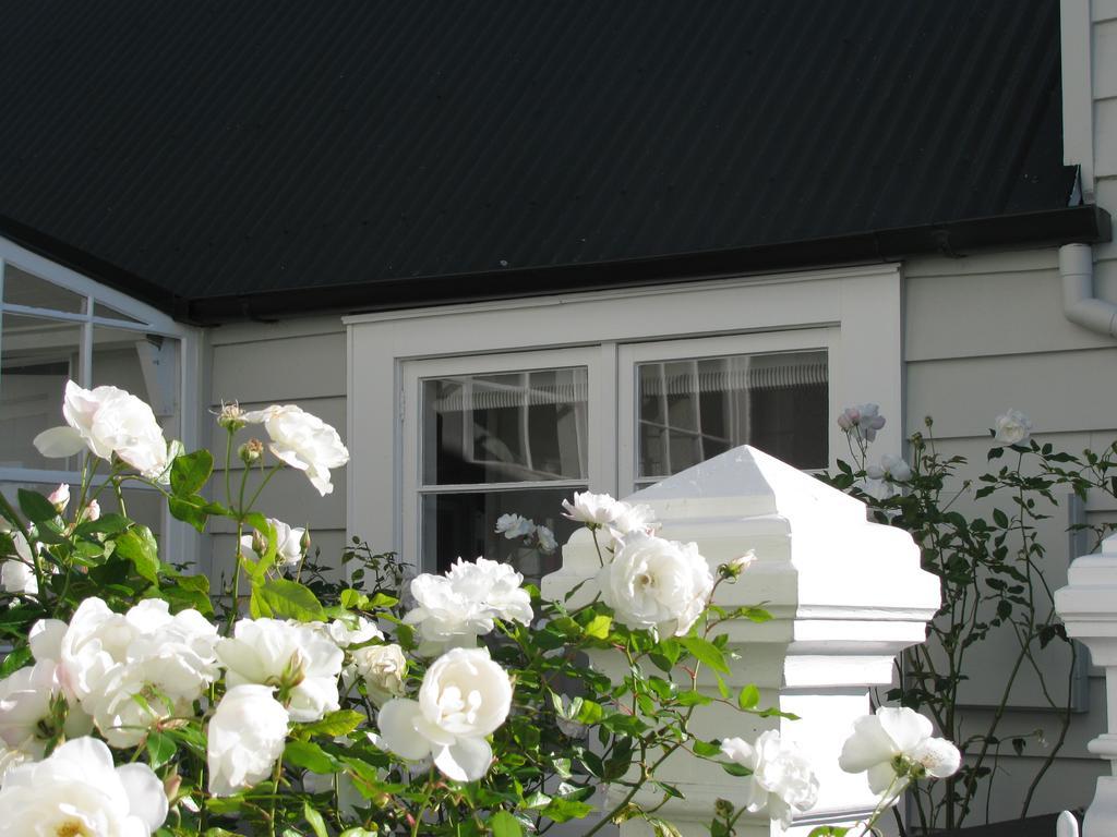 Historic Colenso Cottage Napier Esterno foto